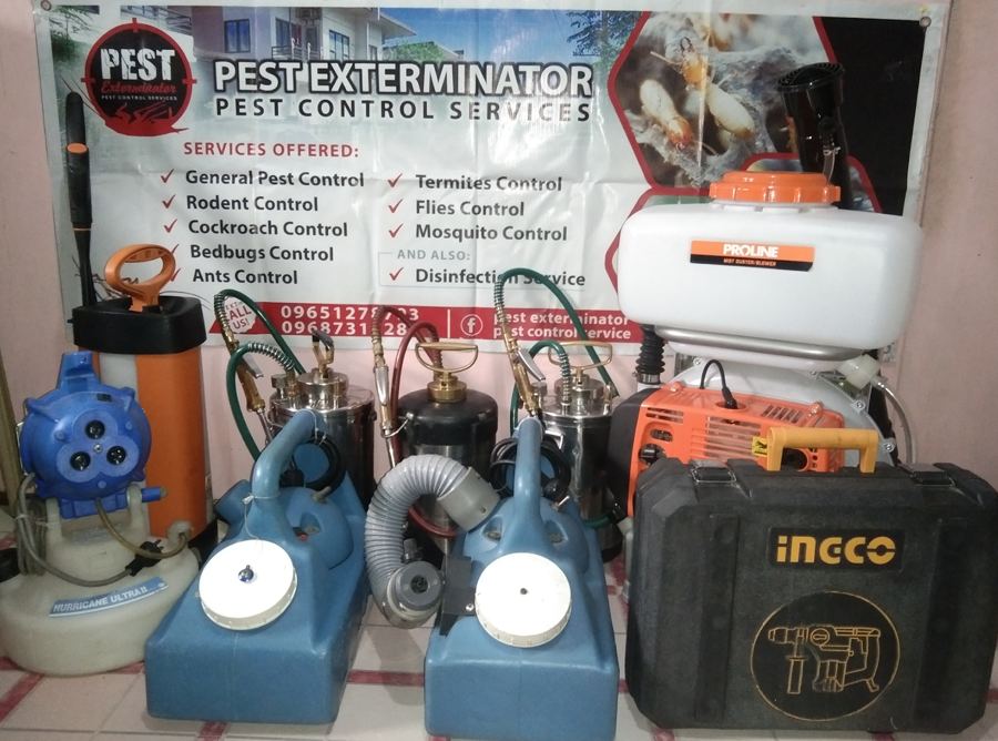 Pest Exterminator PestControl Services work photo